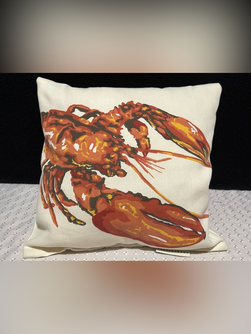 Pottery Barn Outdoor/Indoor Decorative Pillow Lobster Pattern 12 x 12